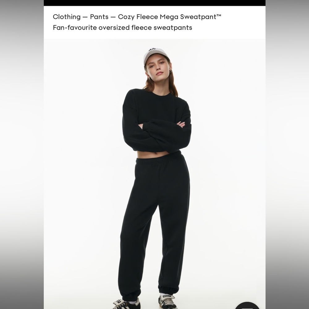Aritzia Cozy Fleece Mega Sweatpants EUC sz LBlack